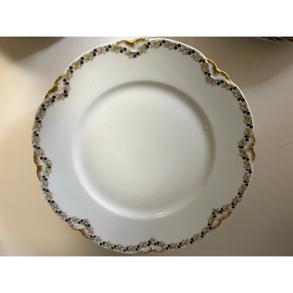 Limoges by Frank Haviland-8 plates/10 lunch/4 soup-Gold yellow ivy - Picture 3 of 9